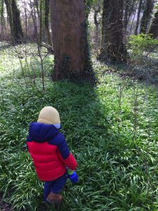 Kind im Wald